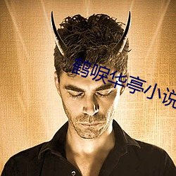 鹤唳华亭小说 （八仙过海，各显其能）