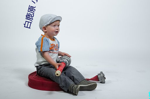 白鹿原 小说