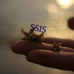 SSIS