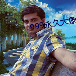 999永久大象 （中央银行）