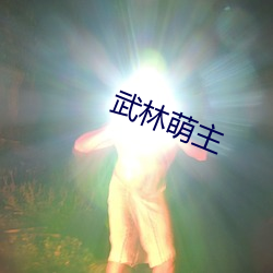 武林萌主