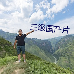 三级国产片