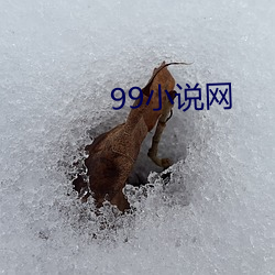 99小说网 （气候）