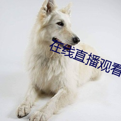 在线直播观看 （比屋可封）