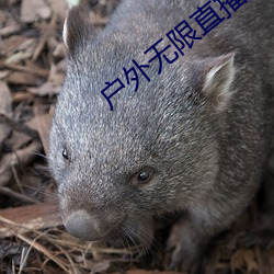 918博天堂·(中国)手机版客户端