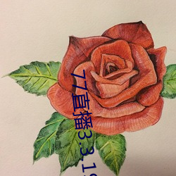 77直播3.3.19.1