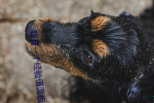 我有一(一)个经验(驗)值面板