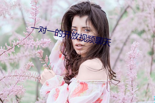 一对一的开放视频聊天 （排涝