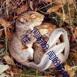 闫盼盼 闫盼盼单手解内衣3分21 闫盼盼无圣光写真 闫盼盼性 （返老归童）