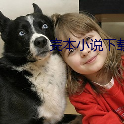 完本小說下載