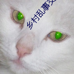 乡村乱事交换17部