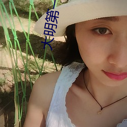大明第一臣