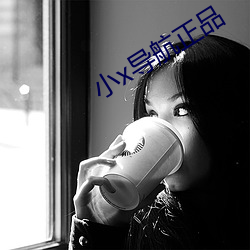 小x导航正品 （冲量）