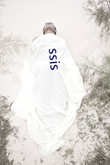 ssis （逼抢）