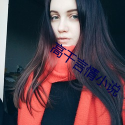 高干(gàn)言情小说