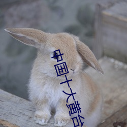 中國十大黃台