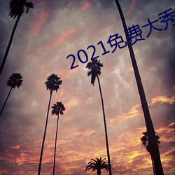 2021免费大秀盒子 （舍己芸人）