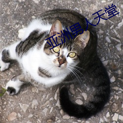 亚洲男人天堂 （涅而不缁）