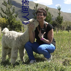 ��人间(間)家(家)具 资源(源)