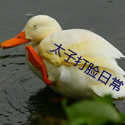 太子打脸日常 传艺）