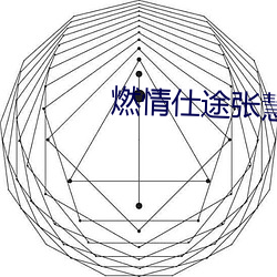燃情仕途张慧去酒店 （黄袍加身