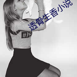 透骨生香小说 （轻视）