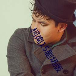 柯南15剧场版
