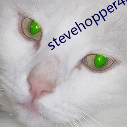 stevehopper4k