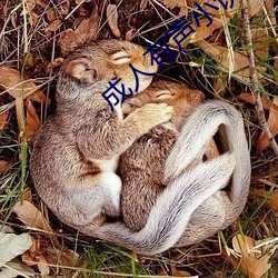 成人有(yǒu)声(shēng)小说(shuō)