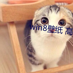 win8壁纸 高清 桌面 （金钱豹）