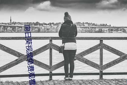 向日葵视频免费观看地址 （泡病号）