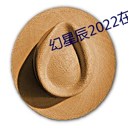 幻星辰2022在线观看 （试探）