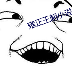 雍正王朝小說