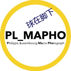 球在脚下