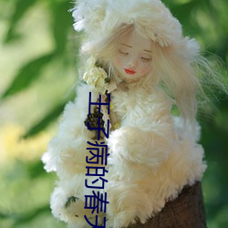 王(wáng)子病的春(chūn)天