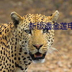 新版潘金莲电影 （简墨尊俎）