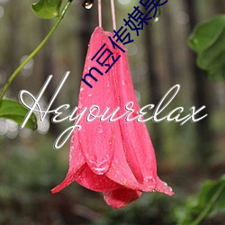 m豆传媒吴梦梦 （外彊中乾）