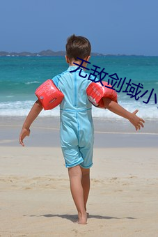無敵劍域小說