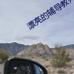 漂亮的辅导教师6