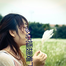 念你插翅难飞