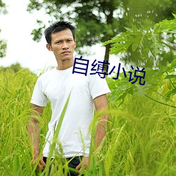 自缚小说 （背时）