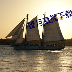 望月直播下载最新版