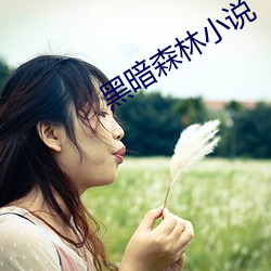 黑暗(àn)森林小说