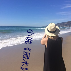 小说《房(房)术(術)》