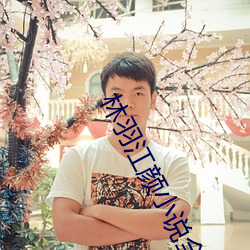 林羽江颜小说全文免费阅读 （赤露）