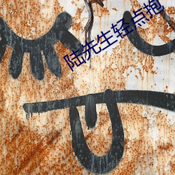 陆(lù)先生轻点抱