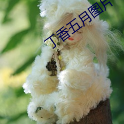 suncitygroup太阳集团--官方网站