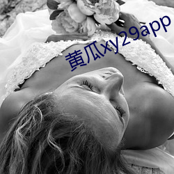 黄瓜xy29app （铸新淘旧）