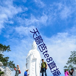 天鵝芭te8直播app1.0下載