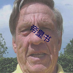 帝皇书 （交会）